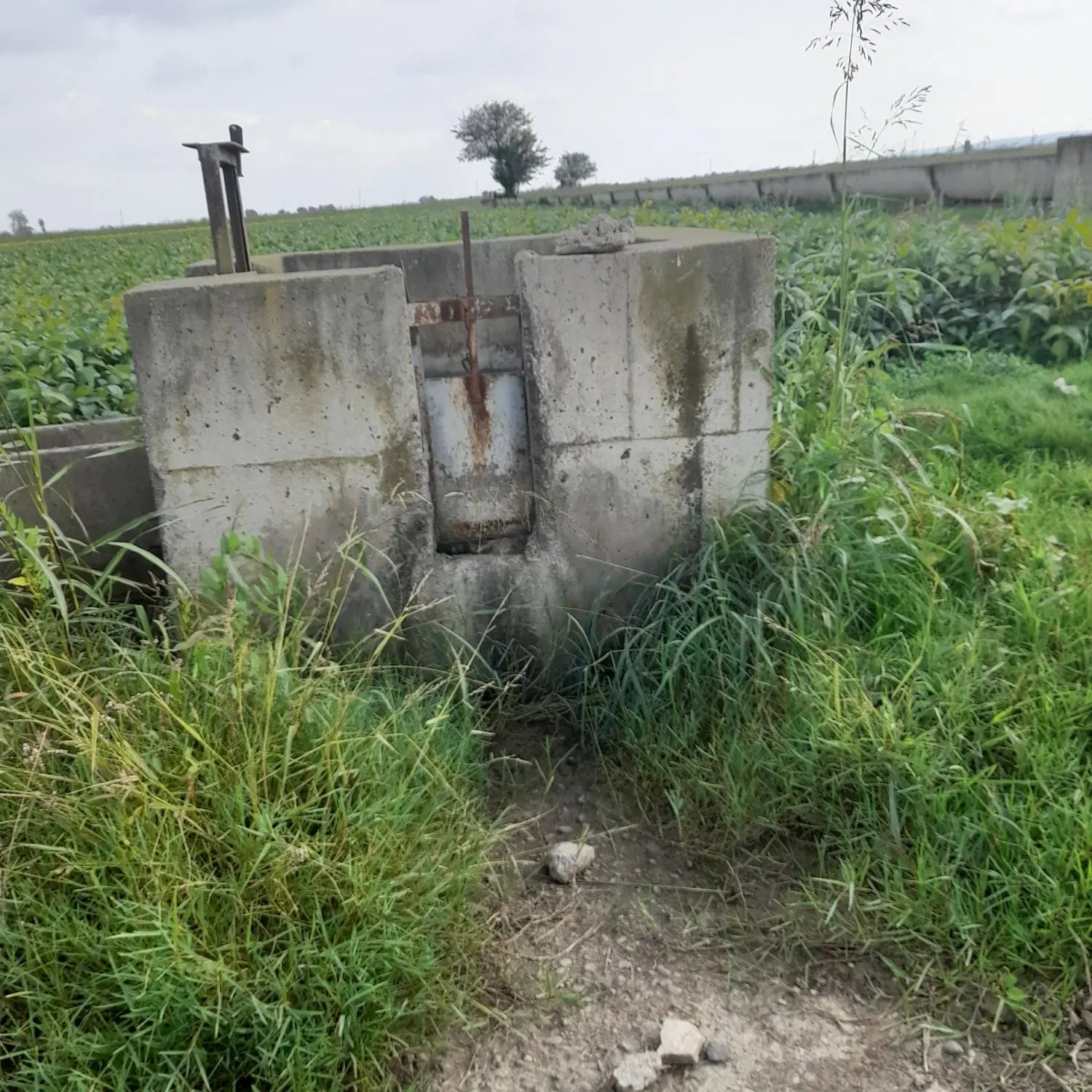 اجاره زمین کشاورزی