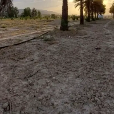 زمین جالق پشت مدرسه حاجی آباد نزدیک جاده