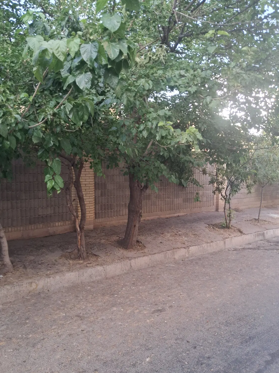 ویلایی بر خیابان شجاعی