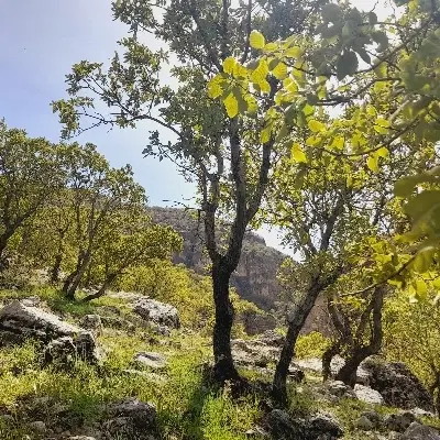 غرفه یا انباری کوچک در خانه روستایی یا باغ