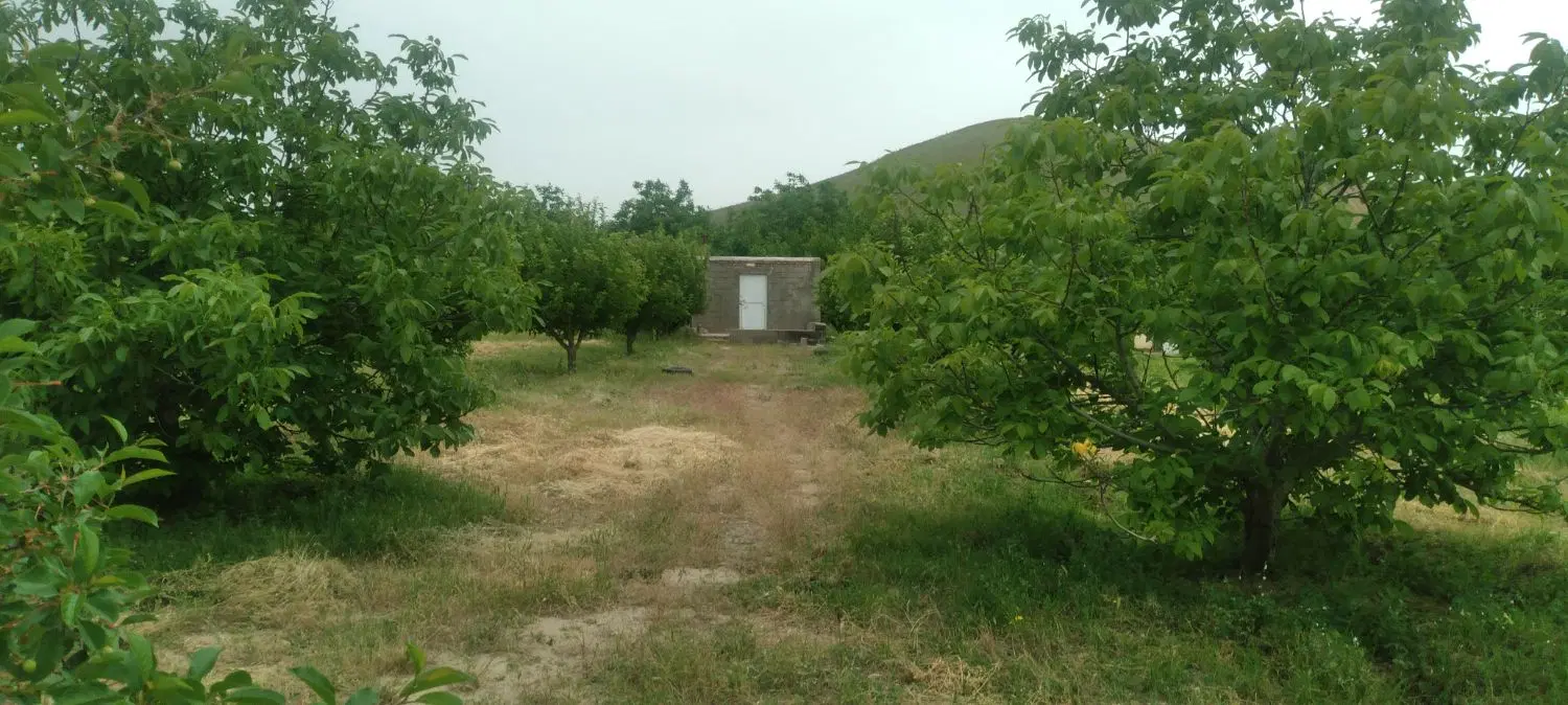 فروش باغ