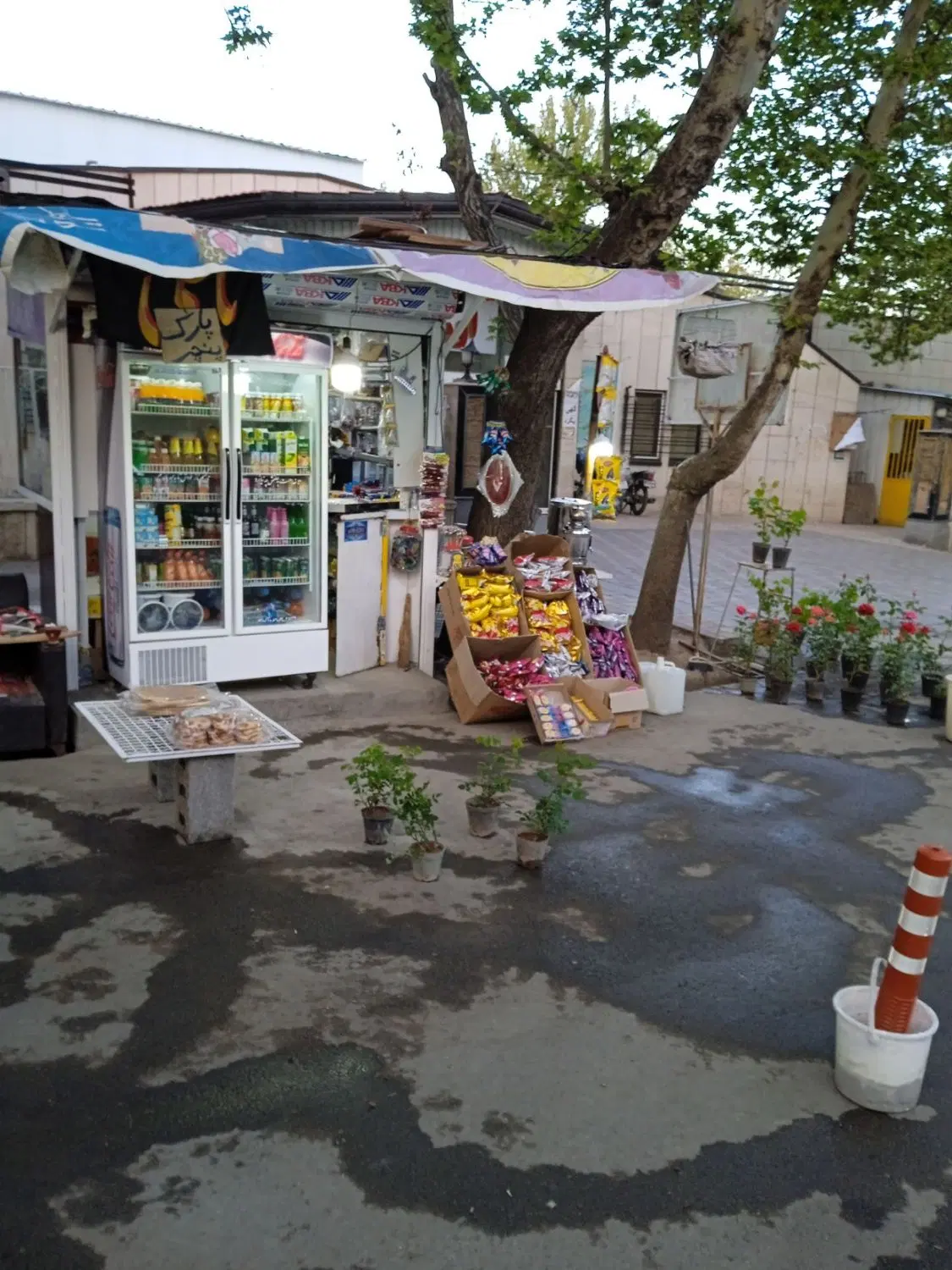 دکه درب بیمارستان ولی عصر