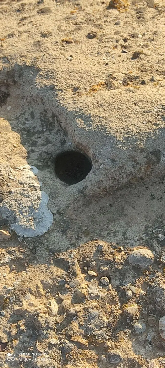 خودکار فروشی