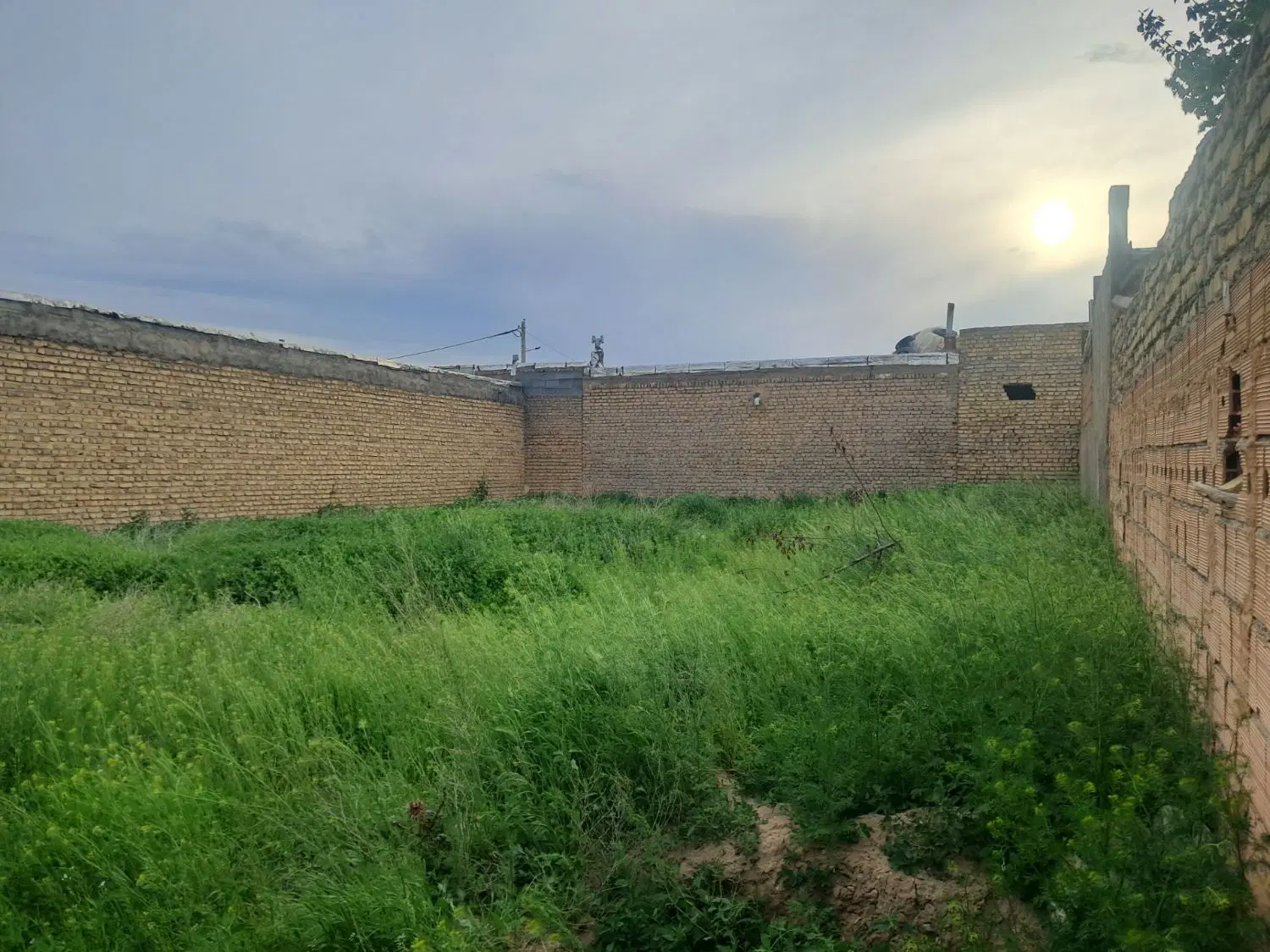 زمین قلفتی دور دیوار
