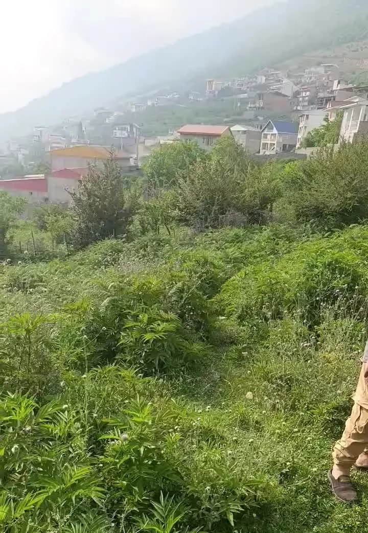 ۱۹۰ متری چلاو دنج