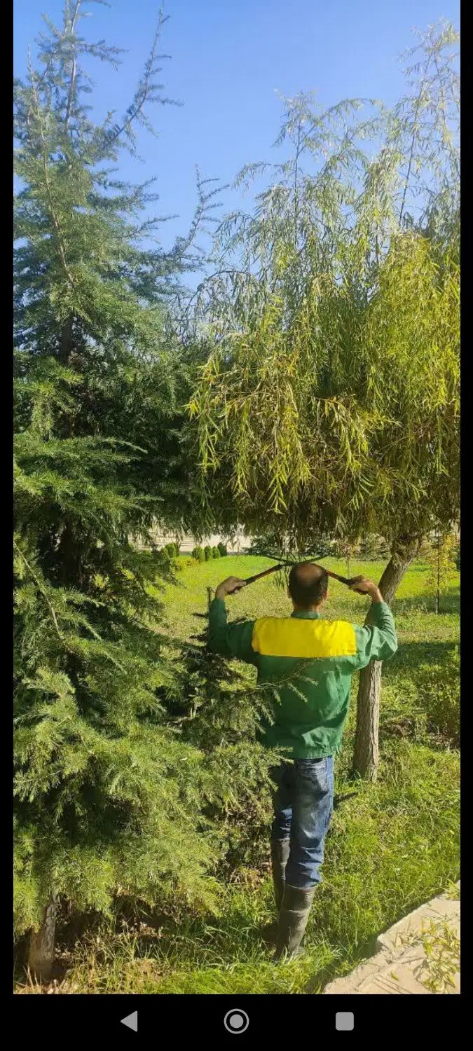 کاسگر محله ، رویان