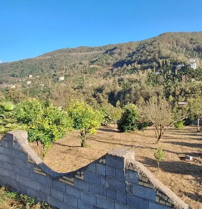 ۳۰۰ متر زمین مسکونی کوهپایه