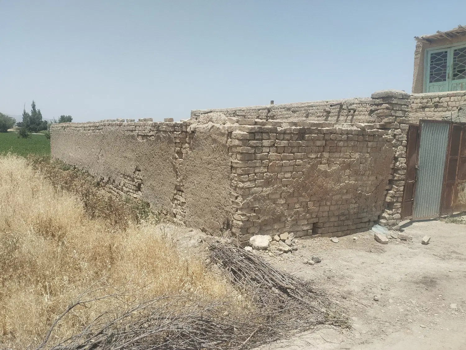 فروش گاو داری  فروری