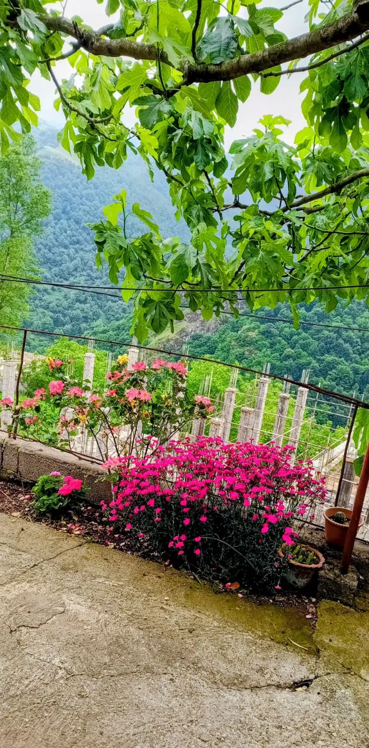 فروش زمین در شهرستان آستارا روستای توریستی گیلده