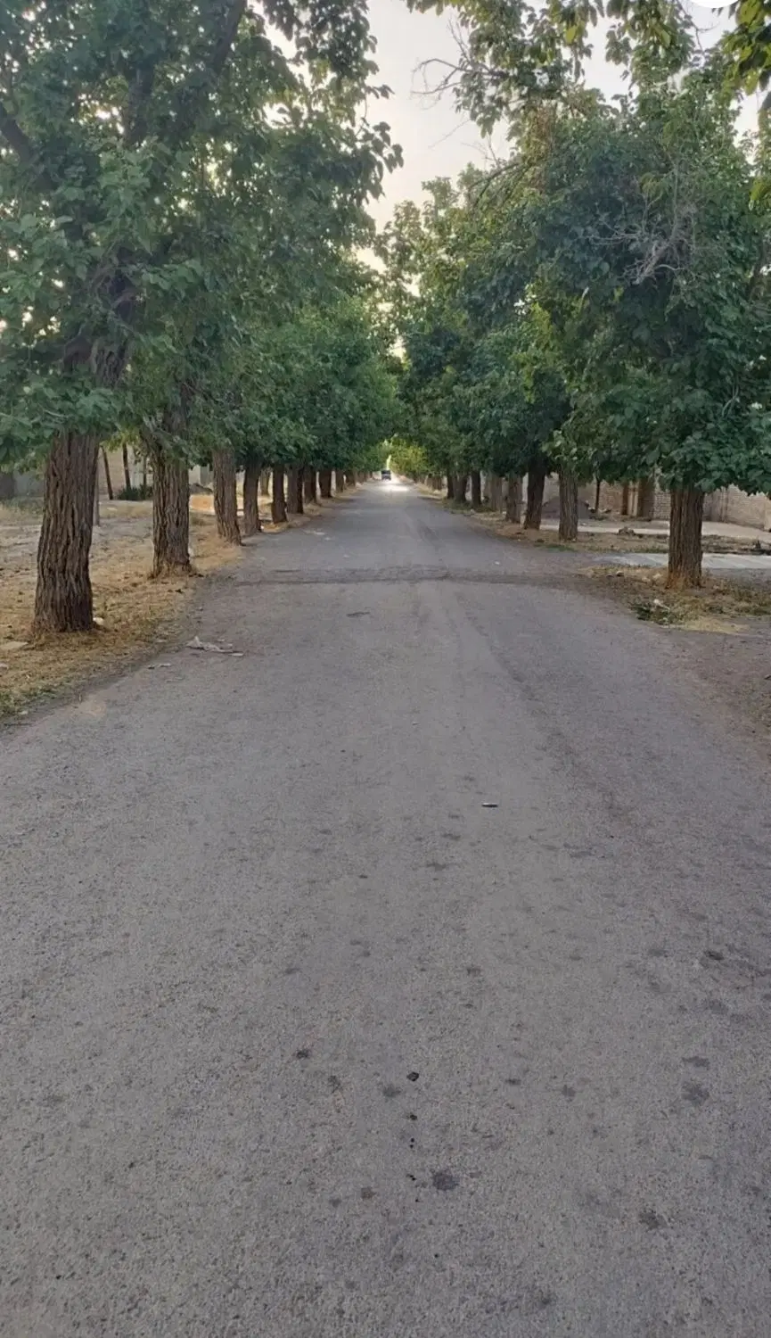 زمین روستایی چهچه