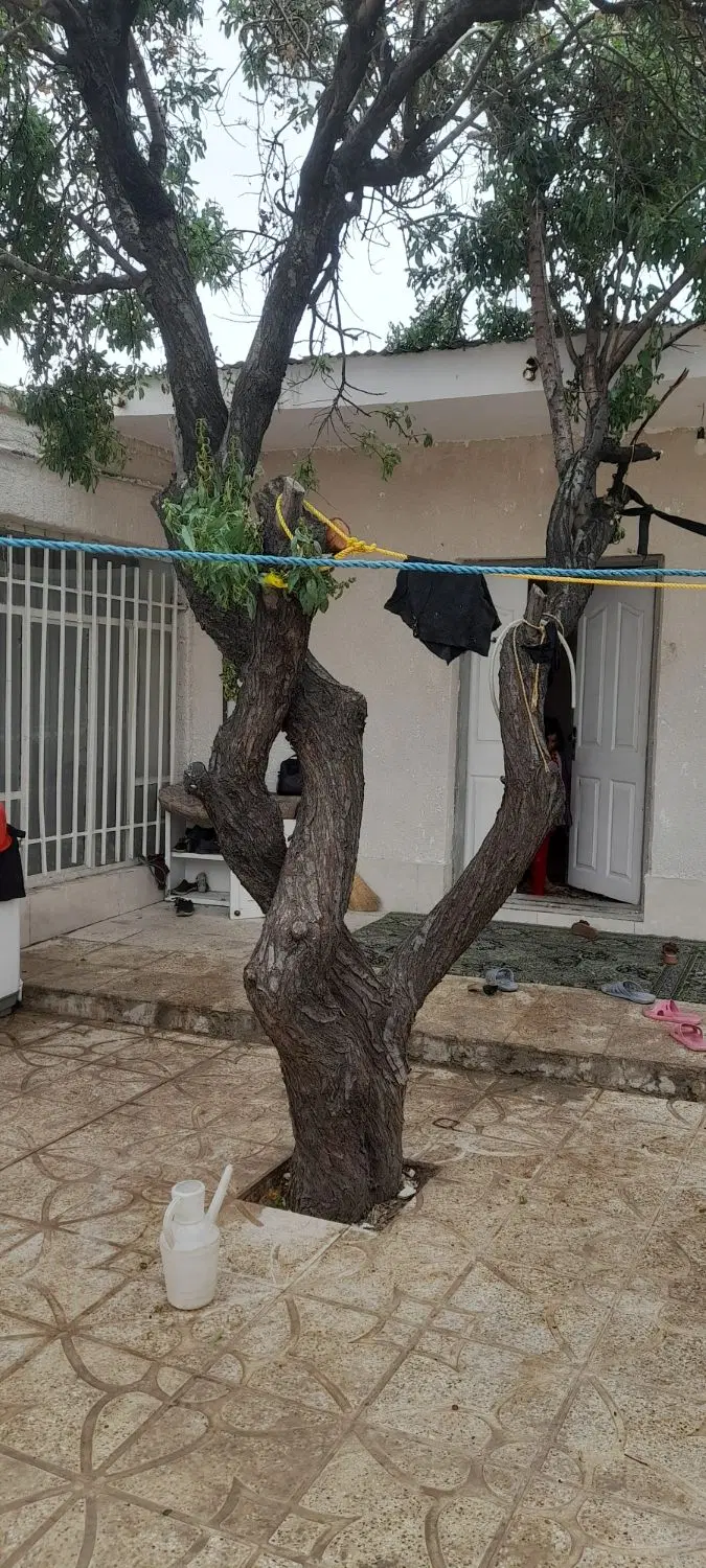 منزل ویلایی در بیدگنه