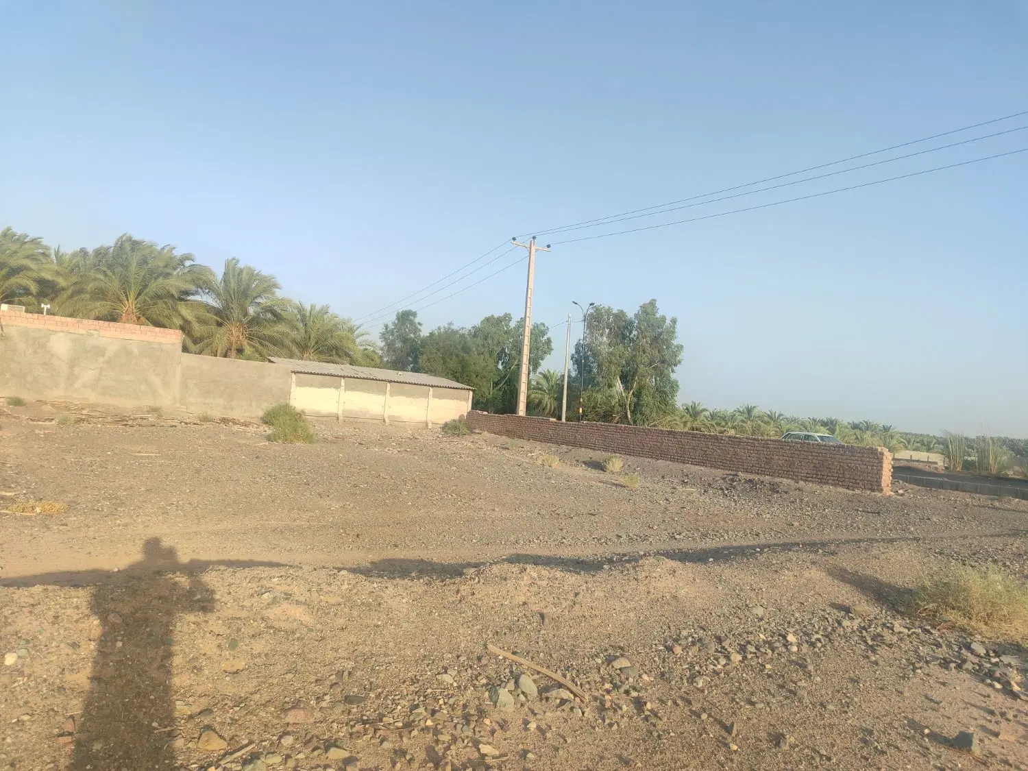 زمین