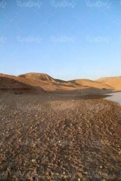 زمین زراعی