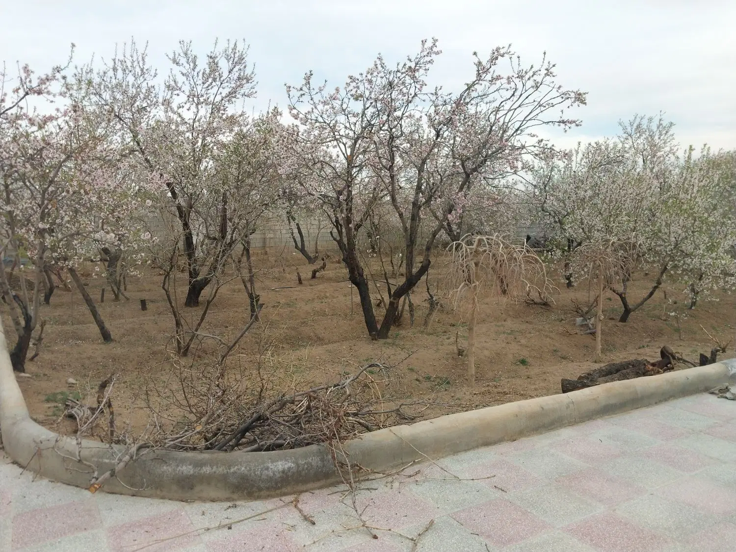 فروش باغ لب کانال ویلاشهر شرایطی