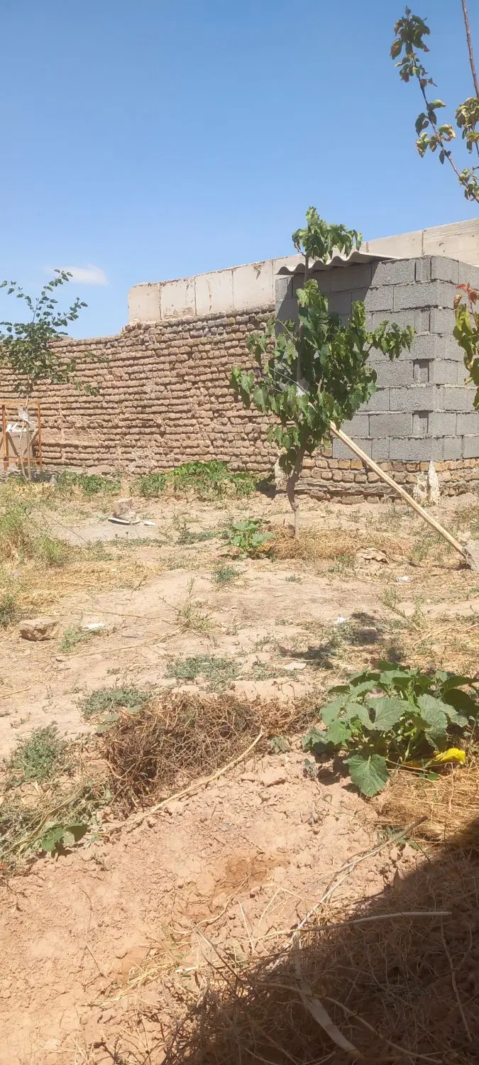 رهن واجاره چهاردیواری