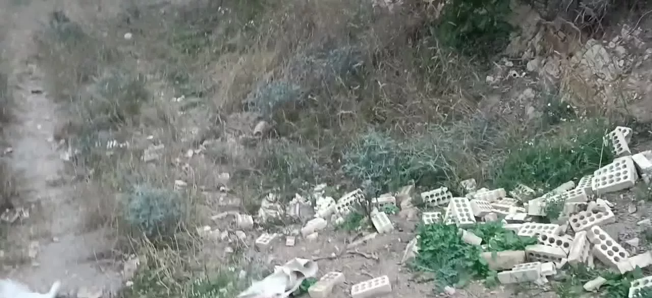مشارکت گلستان روستا افرا تخته افرا 29ملک نژاداکبر