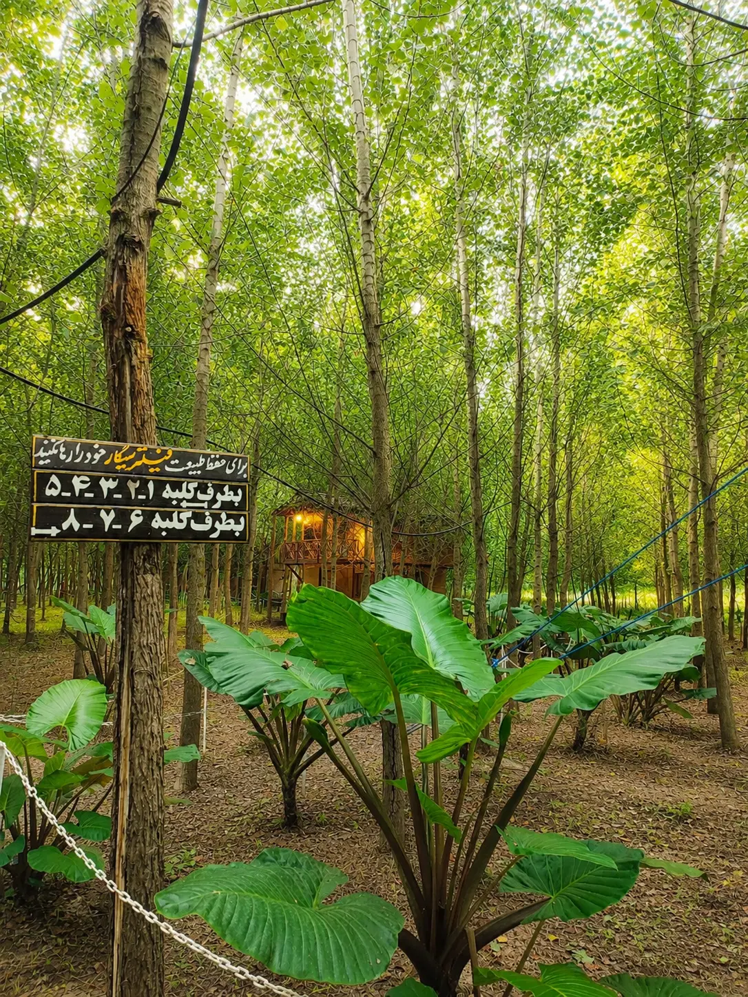 ویلایی متفاوت برای افراد خاص پسند