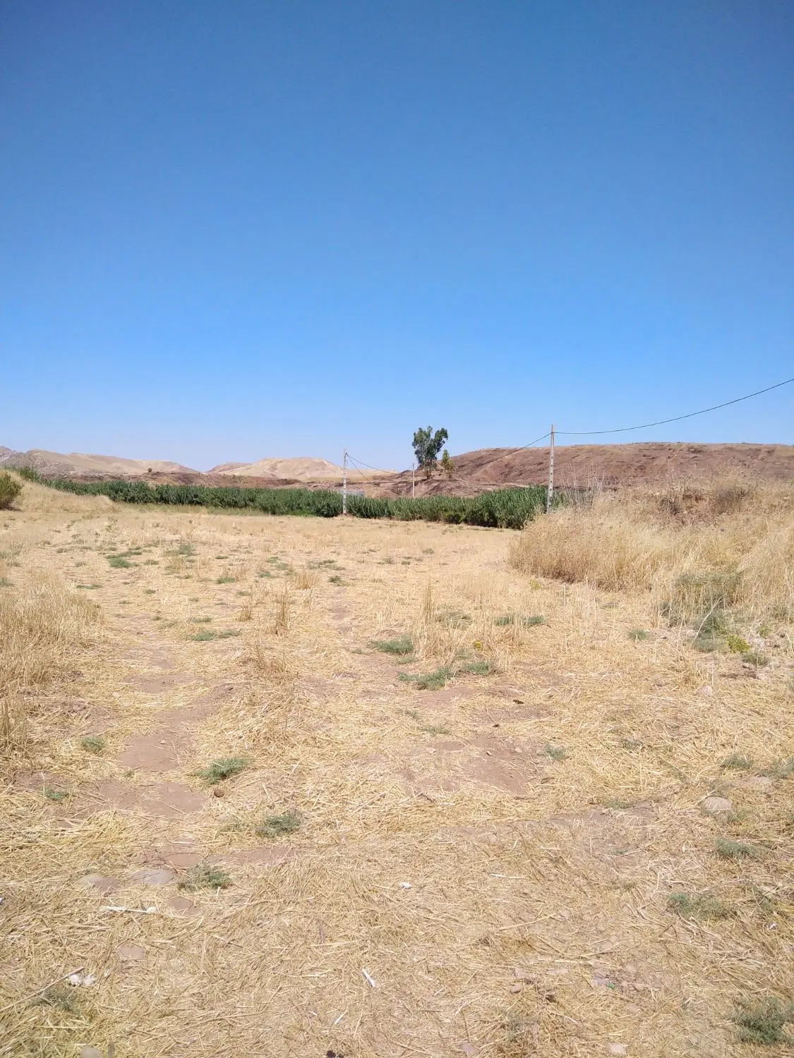 زمین کشاورزی