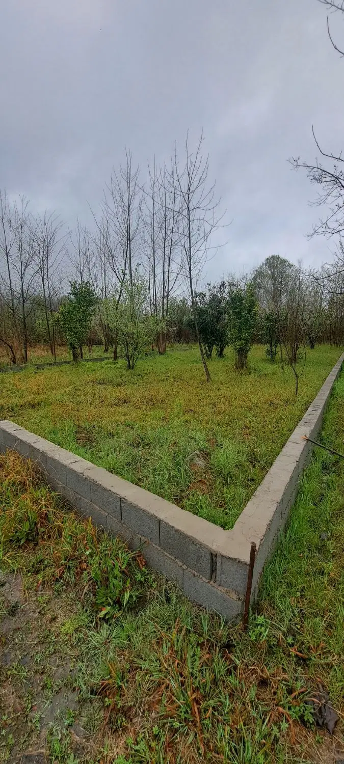 فروش ۲۰۰ متر زمین مسکونی خوش قواره  کوشالشاد