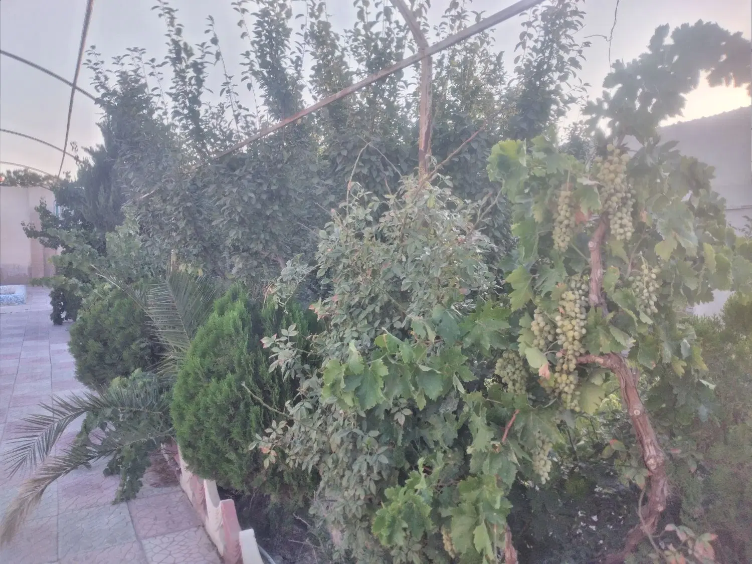 باغچه‌۷۰۰متری.وکالت‌از‌سند