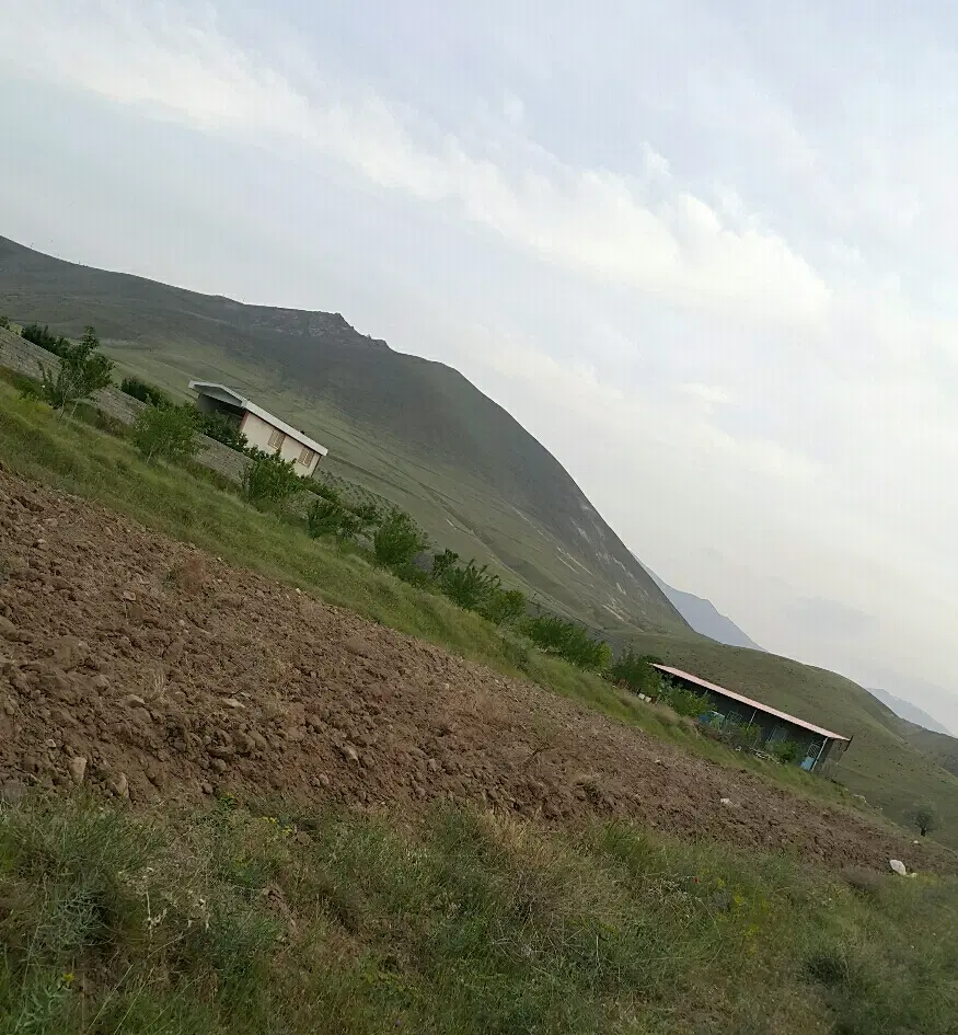 زمین مسکونی
