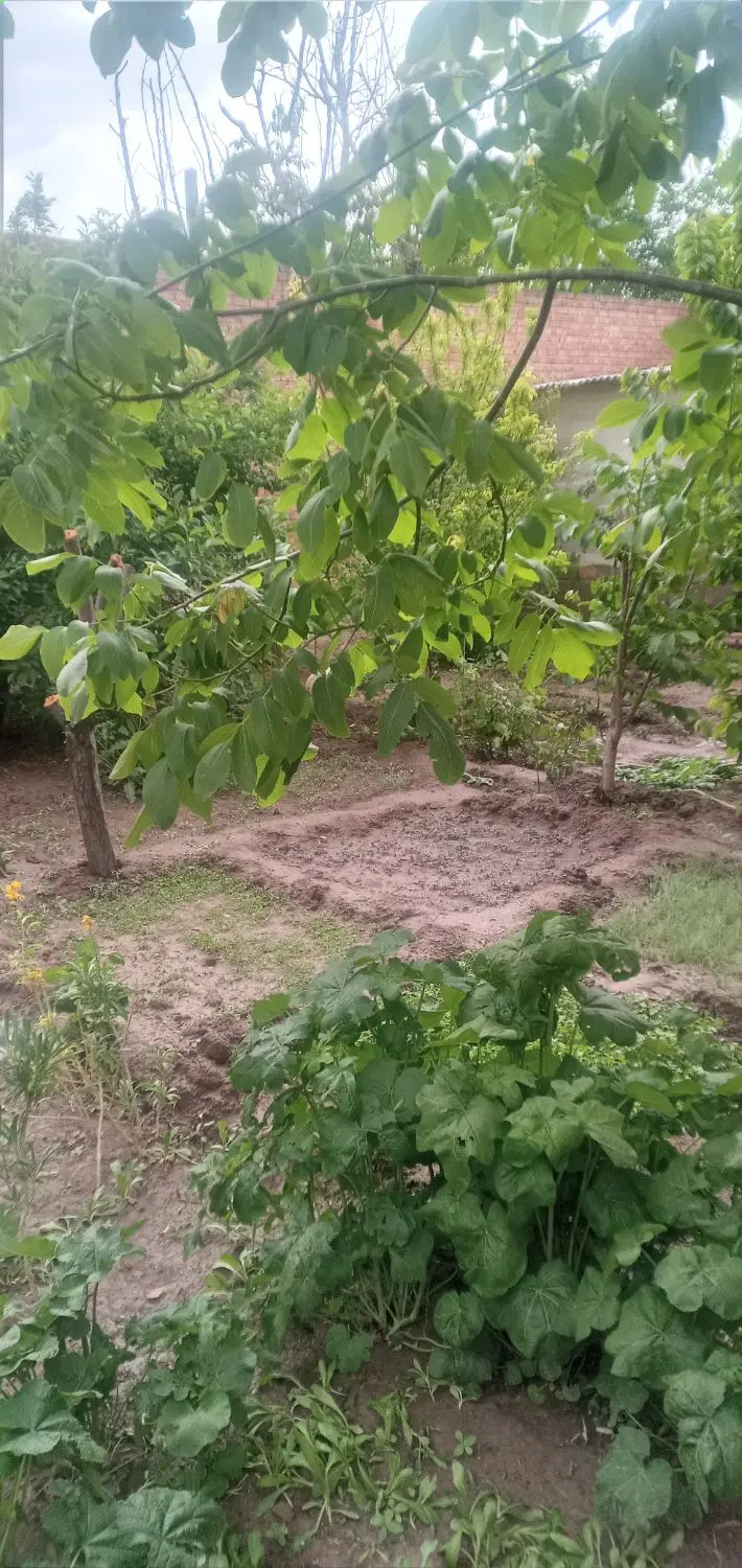 قطعه مسکونی   ۲۰۷ متر            حصار شده