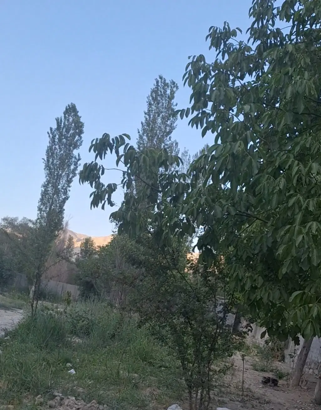 فروش خانه باغی در زرین دشت