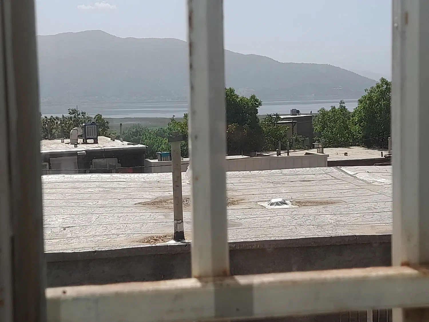 هم خانه هم خونه