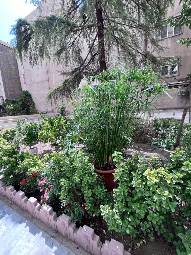 کلنگی ازگل ۱۸۰ متر