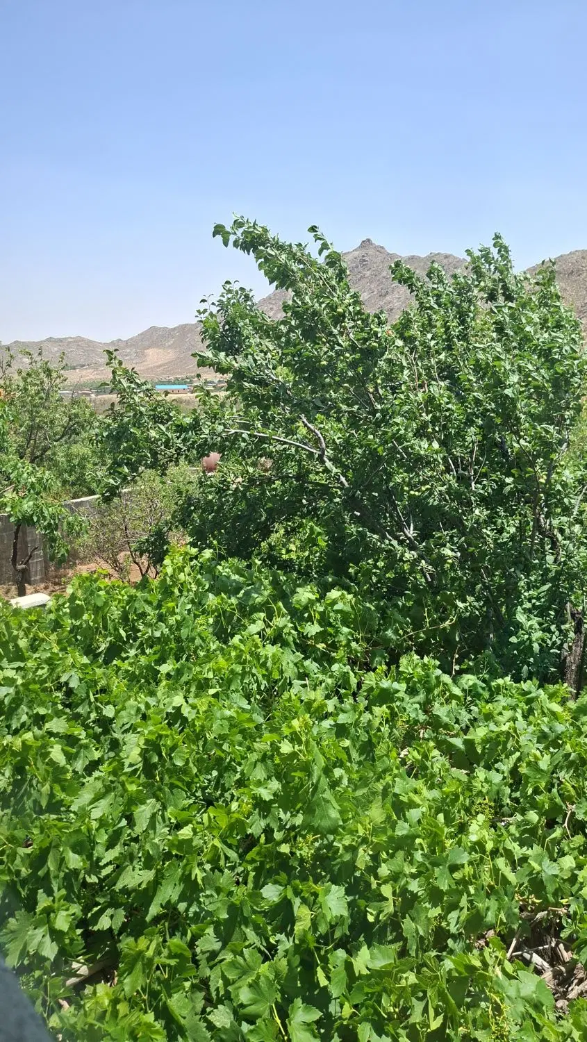 زمین فروشی