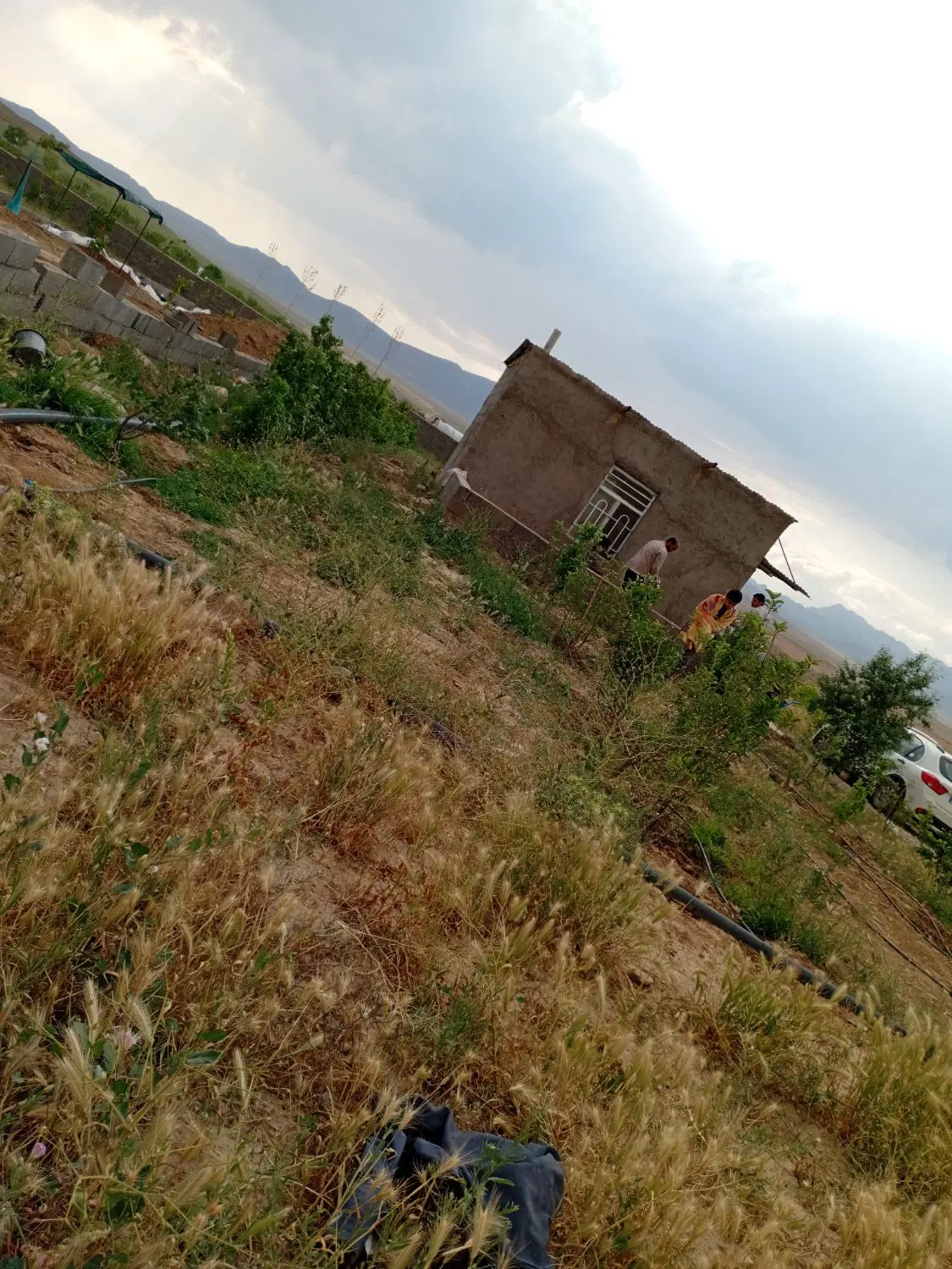 خانه باغ