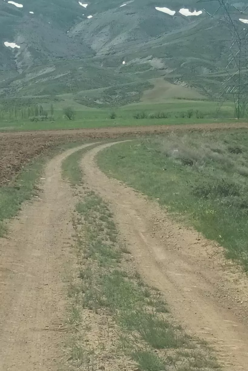 زمین۱۶۰۰۰متر سمت گردنه اسدآباد