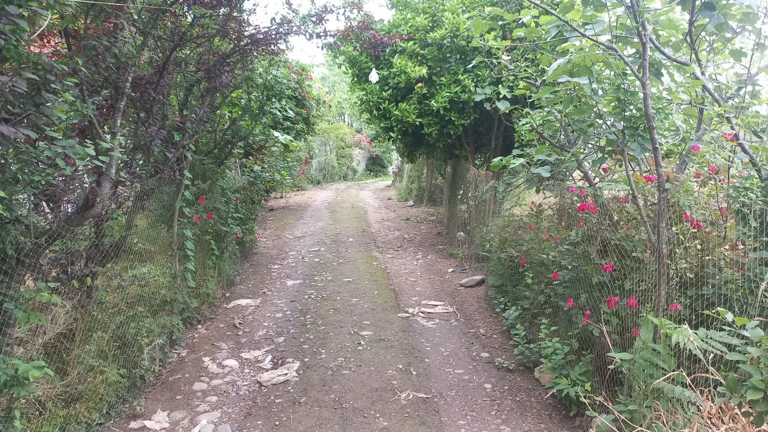 ۲۵۰الی ۴۵۰ متر زمین مسکونی
