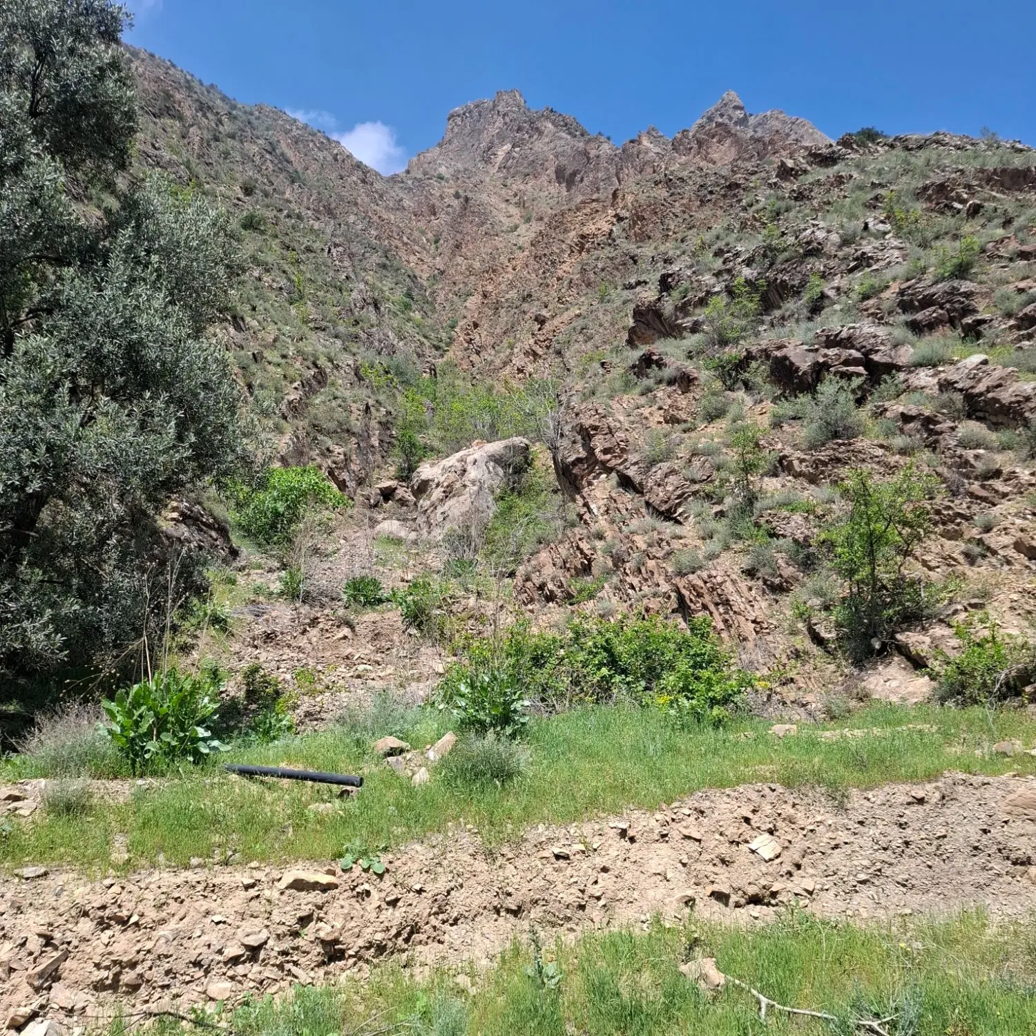 زمین صنعتی در منطقه ذاکر بناب