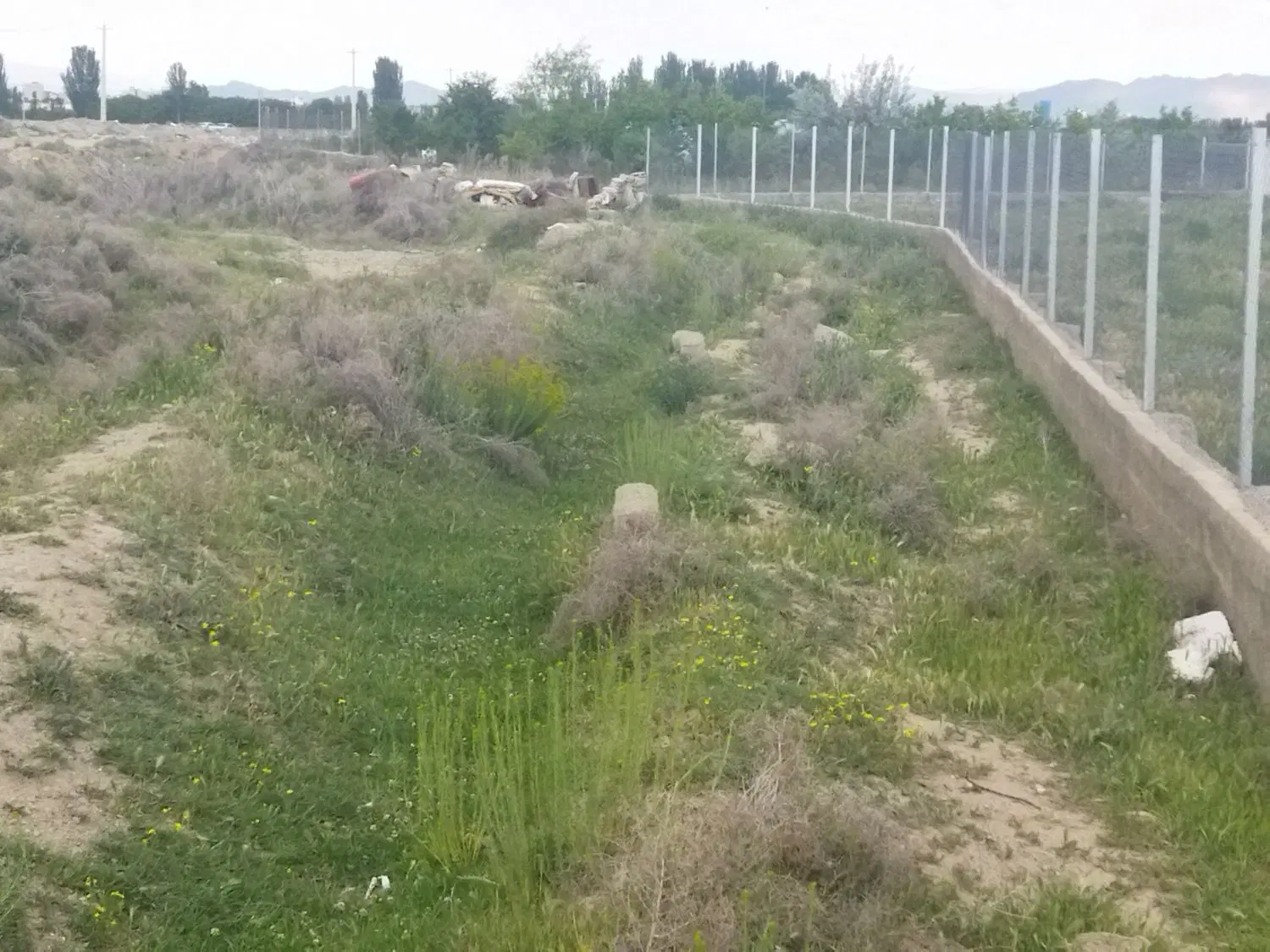 زمین زراعی