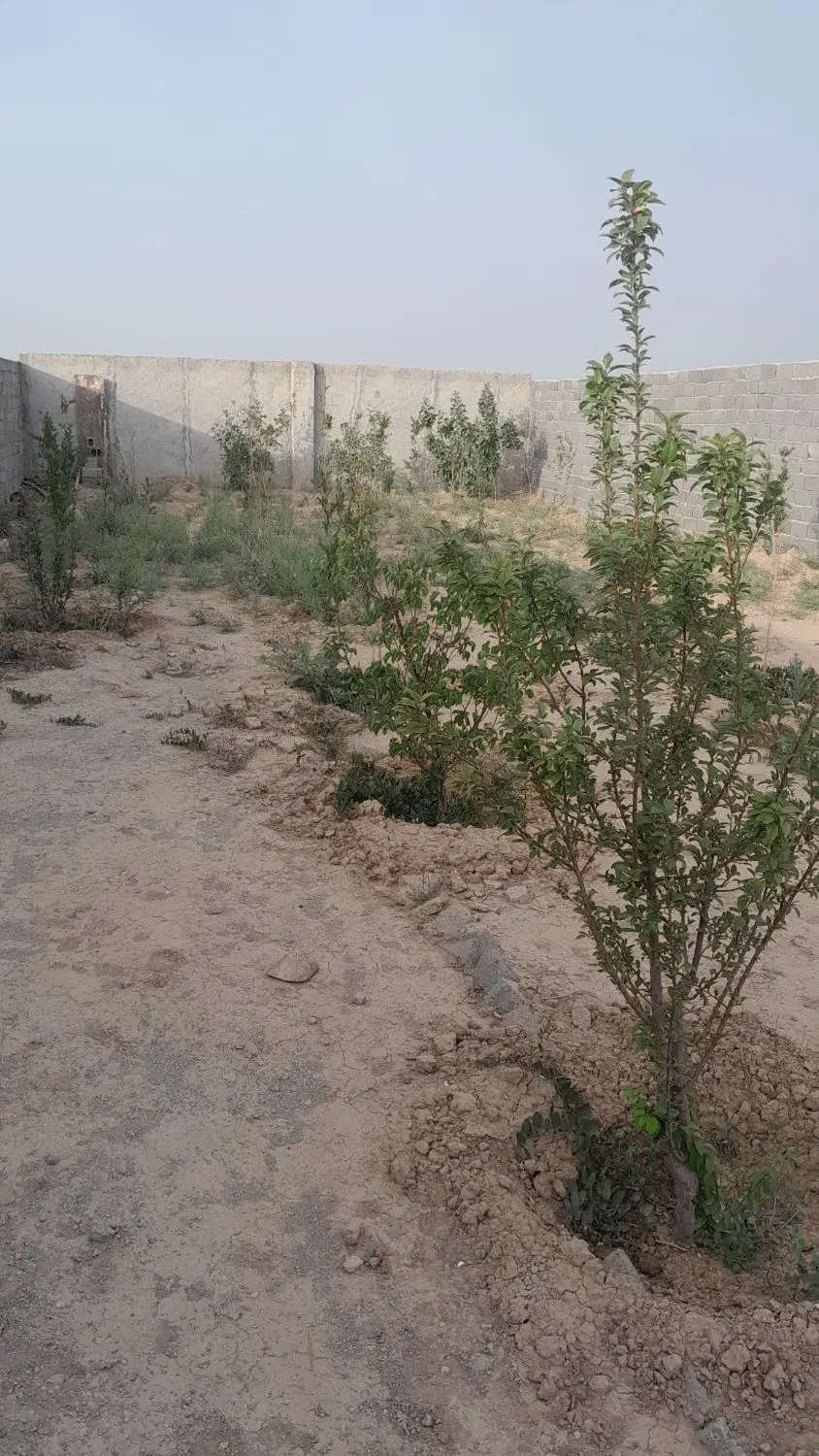 چهاردیواری در شهرستانک