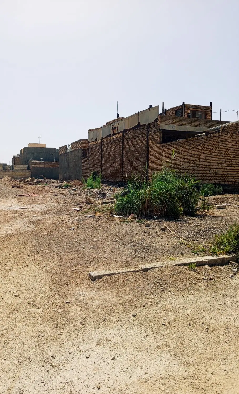 مولوی