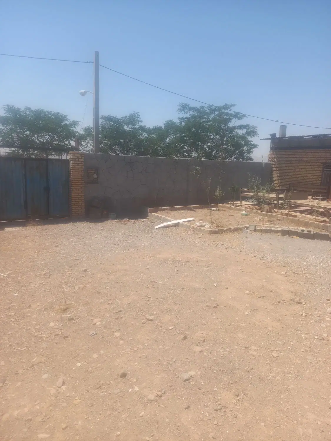 دامداری با مجوز گاو شری