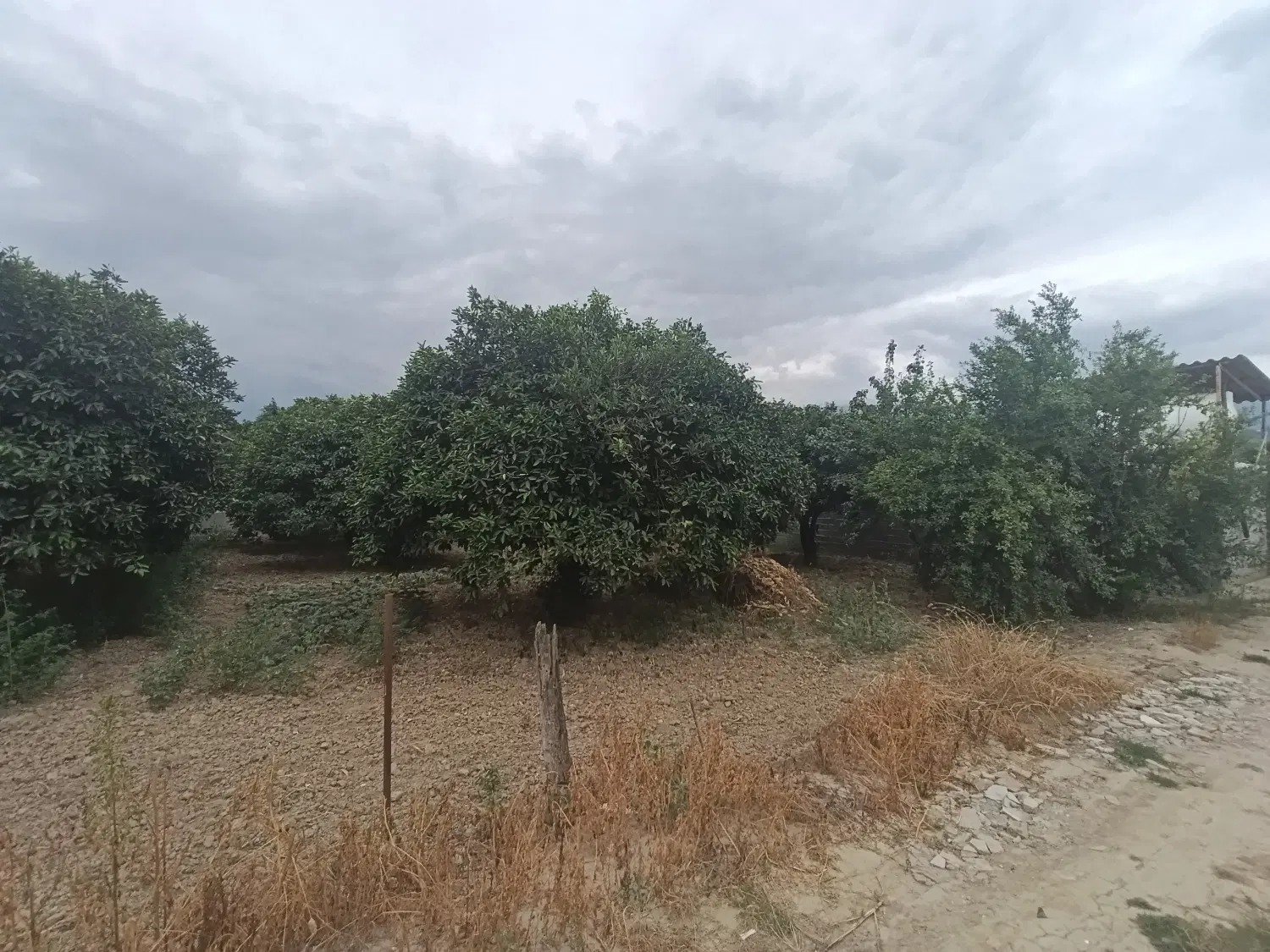 ۳۰۰ متر زمین خونه سرا باغی
