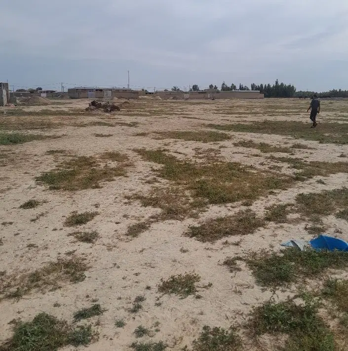 زمین مسکونی