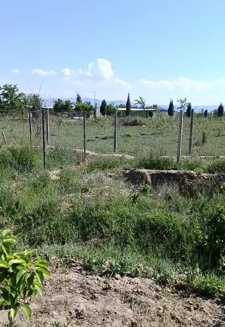 باغ باغچه نظر اباد خرم اباد