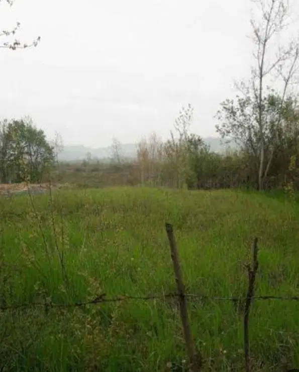 زمین شموشک