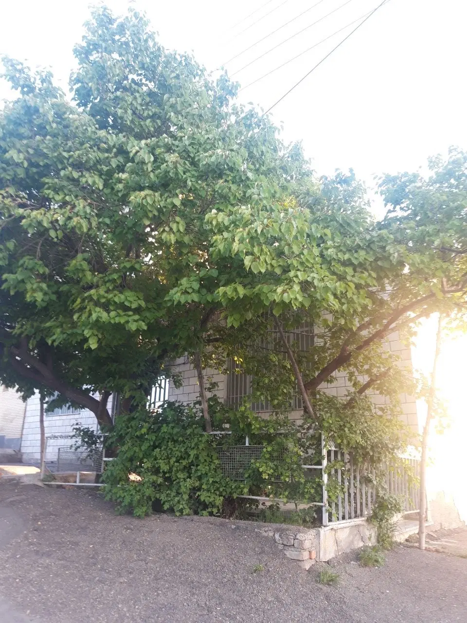 فروش خانه ویلایی دربست