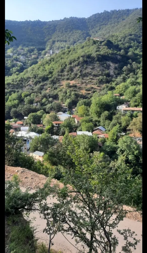 زمین چلی بالا فاضل آباد