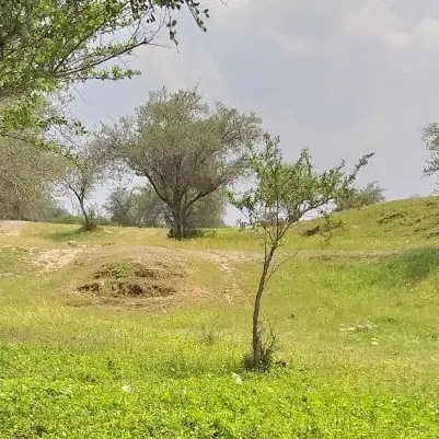 زمین