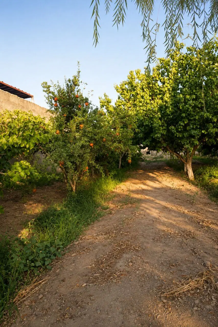 باغچه باغات عرب اباد خسروی