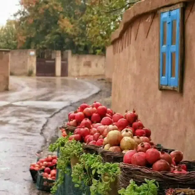همخونه میشم سالم