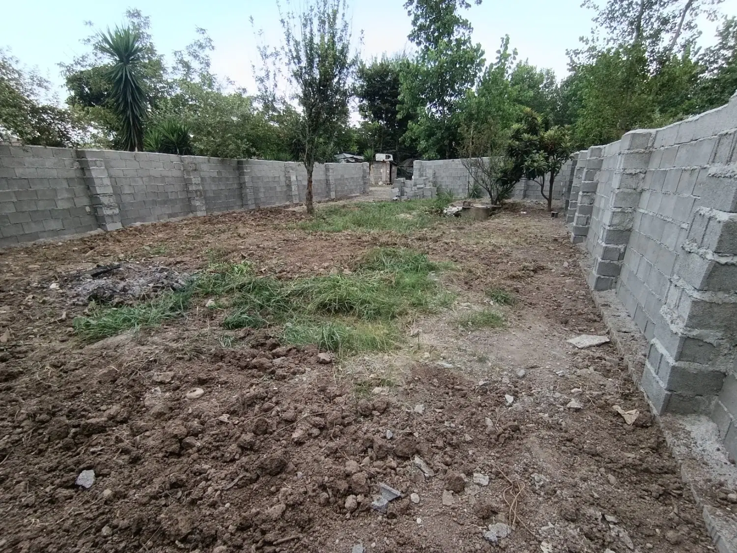 زمین مسکونی دور دیوار 255 متری