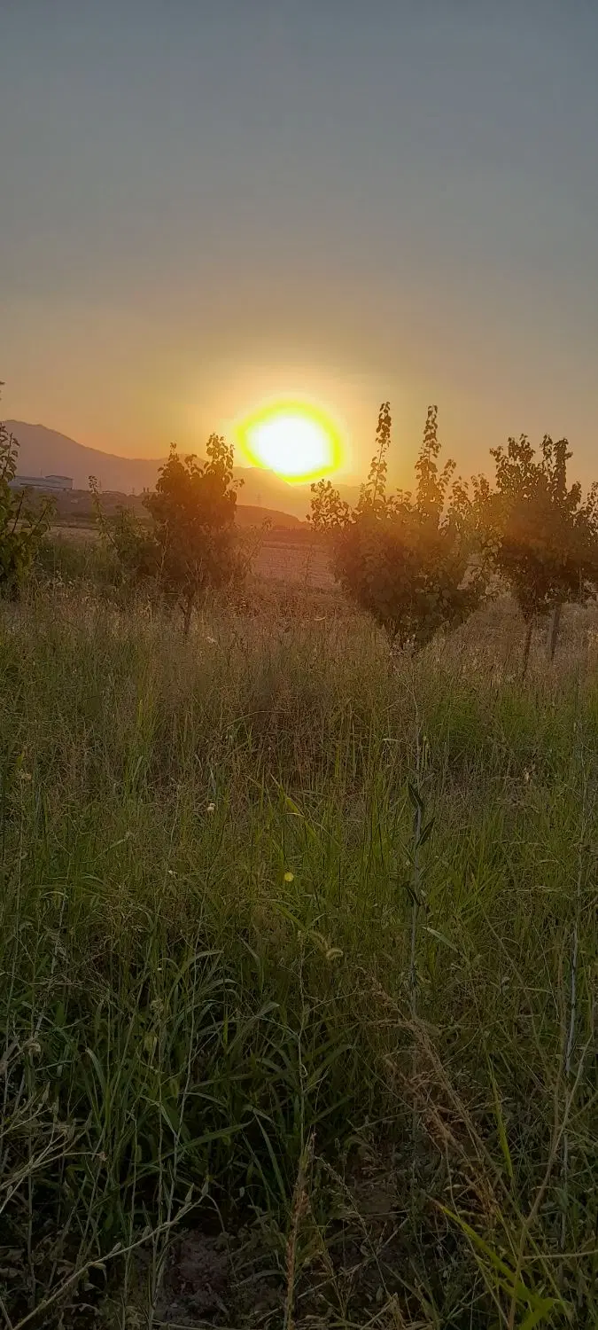 باغ ۱۰۰۰ متری