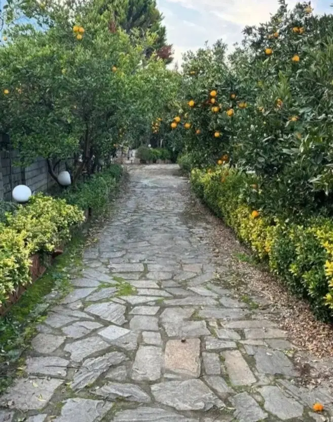 خونه باغ 500 متری با درختان مرکبات با سند